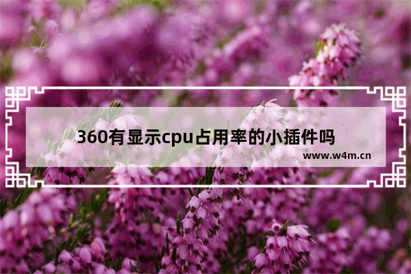 360有显示cpu占用率的小插件吗