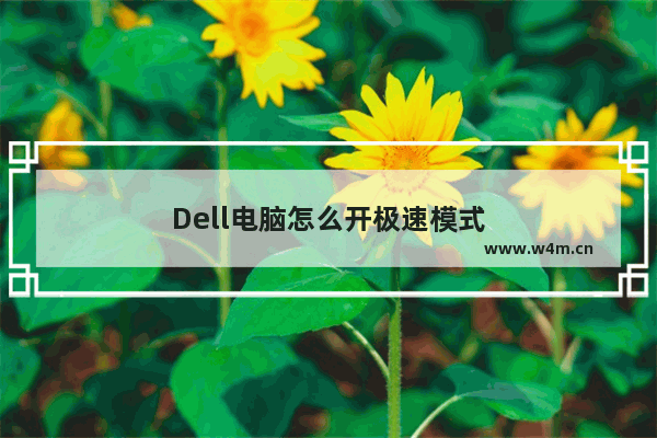 Dell电脑怎么开极速模式