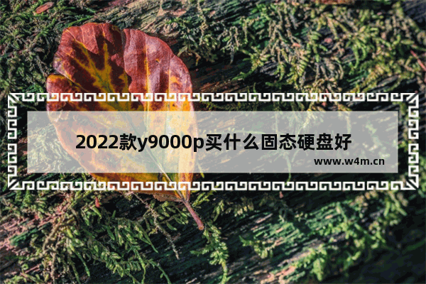 2022款y9000p买什么固态硬盘好