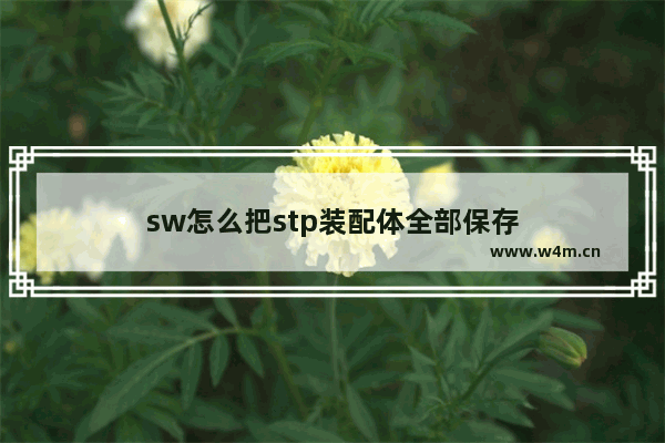 sw怎么把stp装配体全部保存