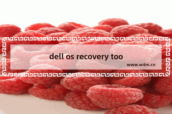 dell os recovery tool无法安装