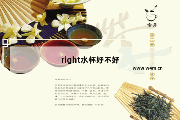 right水杯好不好