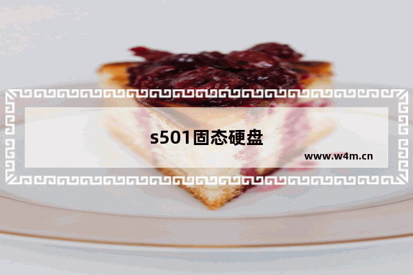 s501固态硬盘