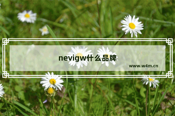 nevigw什么品牌