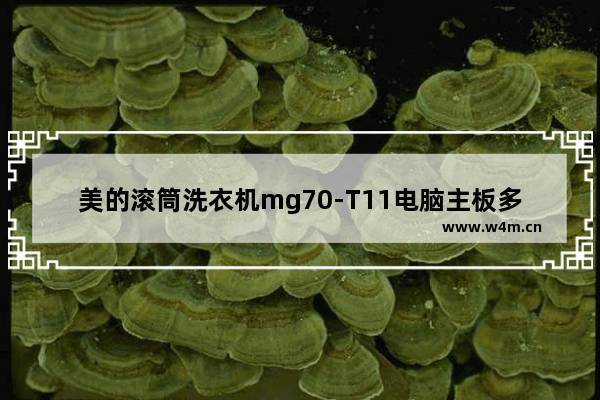 美的滚筒洗衣机mg70-T11电脑主板多少钱