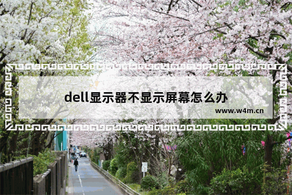 dell显示器不显示屏幕怎么办