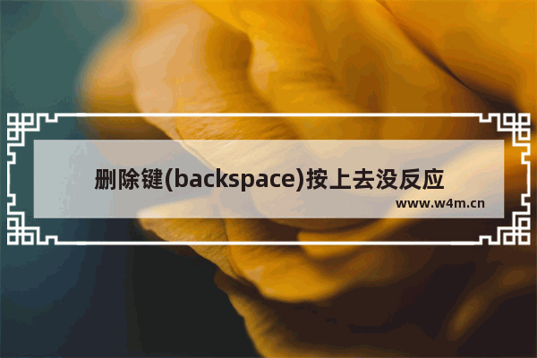 删除键(backspace)按上去没反应是什么原因