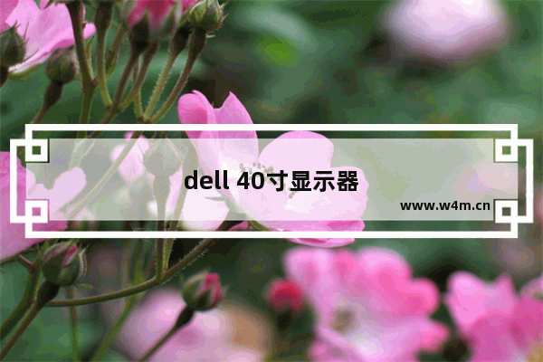 dell 40寸显示器