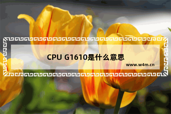 CPU G1610是什么意思