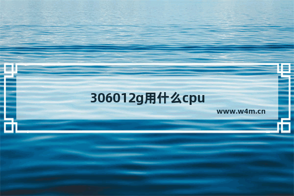 306012g用什么cpu