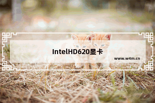 IntelHD620显卡