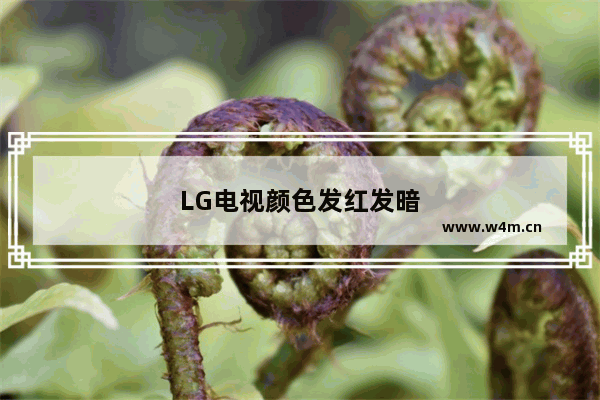 LG电视颜色发红发暗