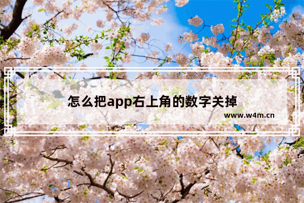 怎么把app右上角的数字关掉