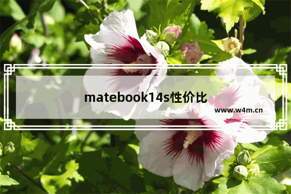 matebook14s性价比