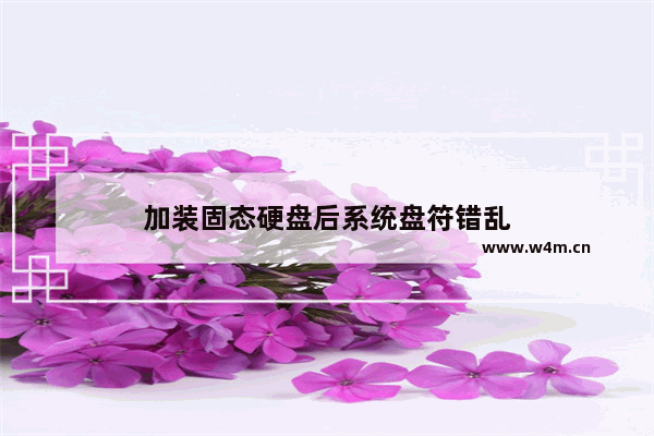 加装固态硬盘后系统盘符错乱