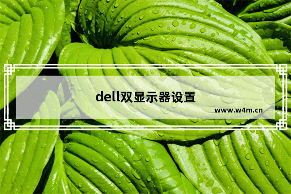 dell双显示器设置