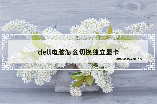 dell电脑怎么切换独立显卡