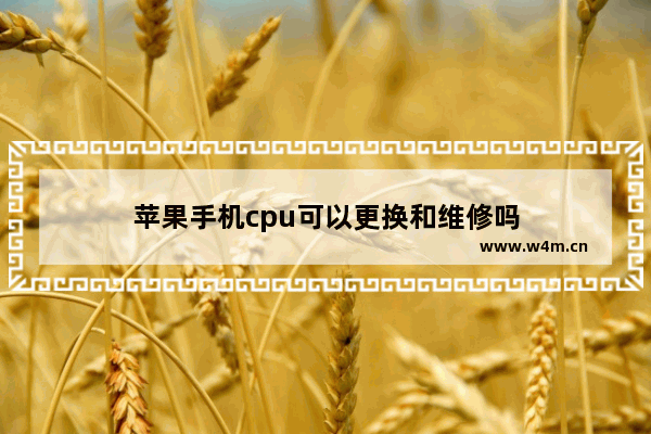 苹果手机cpu可以更换和维修吗