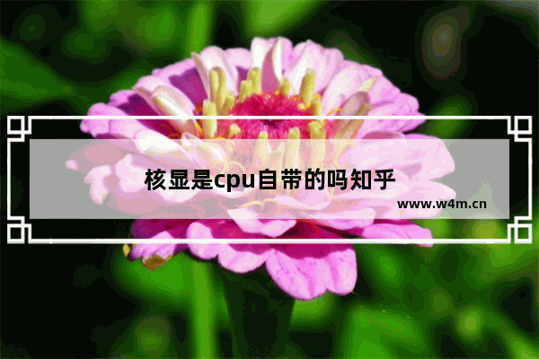 核显是cpu自带的吗知乎