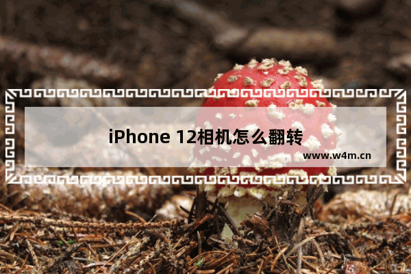 iPhone 12相机怎么翻转