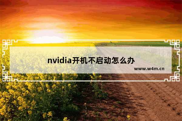 nvidia开机不启动怎么办