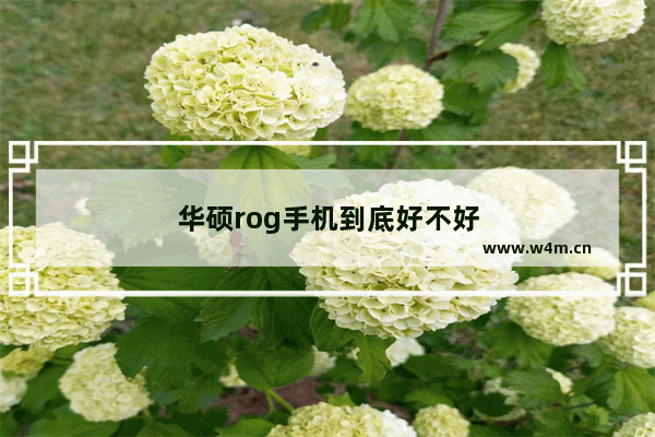 华硕rog手机到底好不好