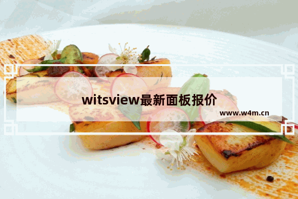 witsview最新面板报价