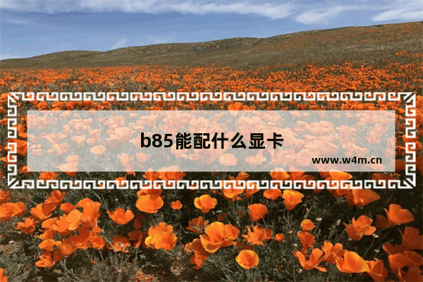 b85能配什么显卡