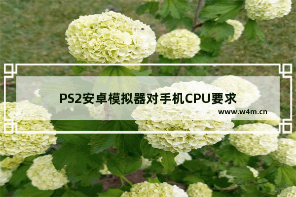 PS2安卓模拟器对手机CPU要求