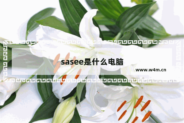 sasee是什么电脑