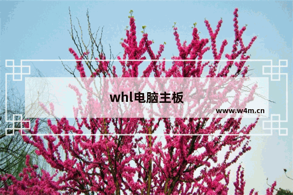 whl电脑主板