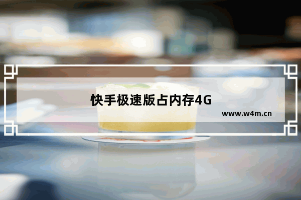 快手极速版占内存4G