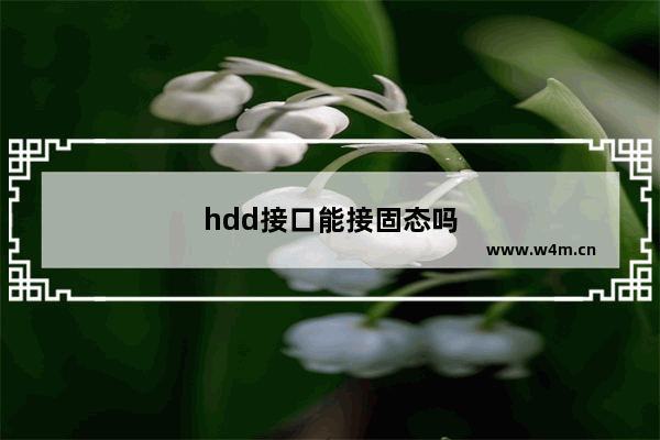 hdd接口能接固态吗