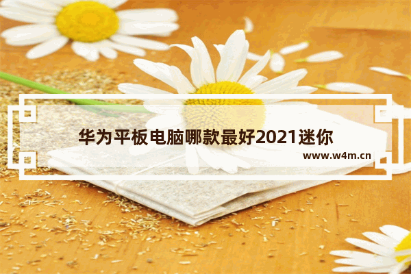 华为平板电脑哪款最好2021迷你