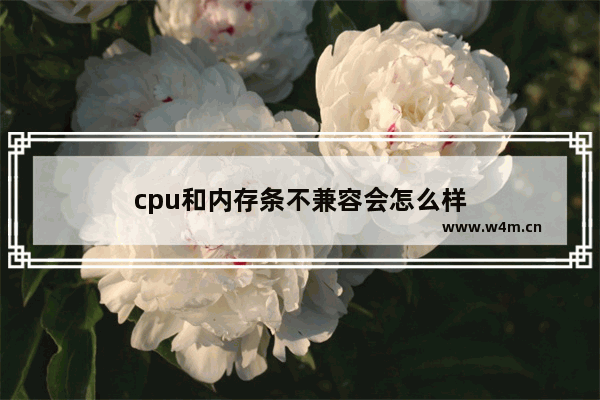 cpu和内存条不兼容会怎么样