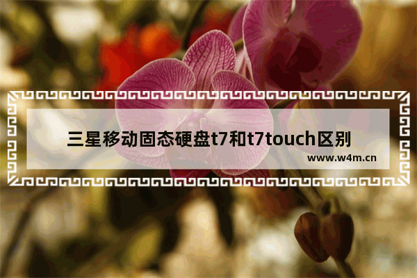 三星移动固态硬盘t7和t7touch区别