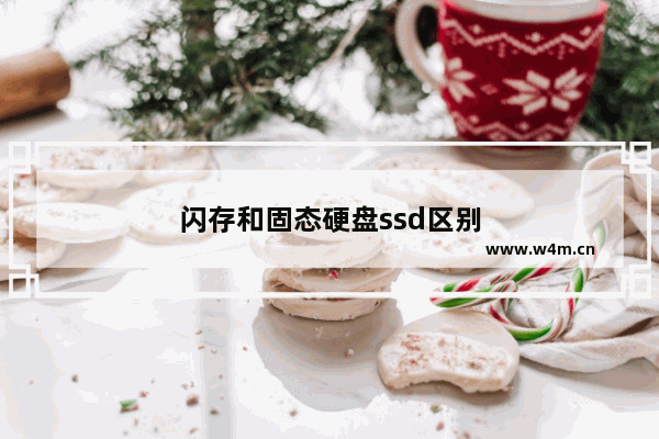 闪存和固态硬盘ssd区别