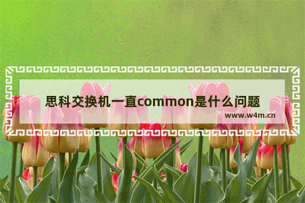 思科交换机一直common是什么问题