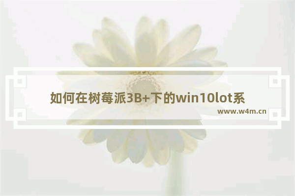 如何在树莓派3B+下的win10lot系统上安装office办公软件