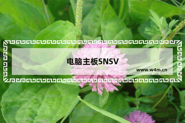 电脑主板SNSV