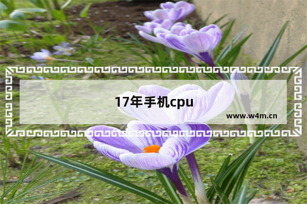 17年手机cpu