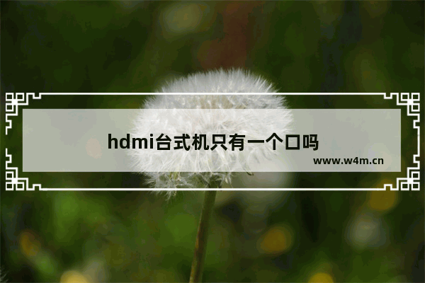 hdmi台式机只有一个口吗