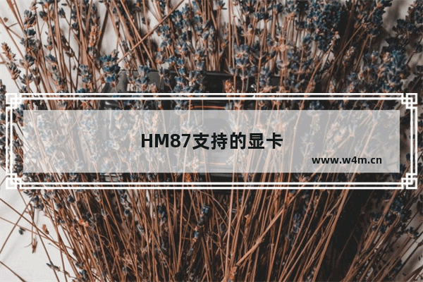 HM87支持的显卡