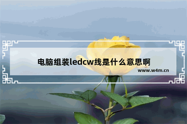 电脑组装ledcw线是什么意思啊