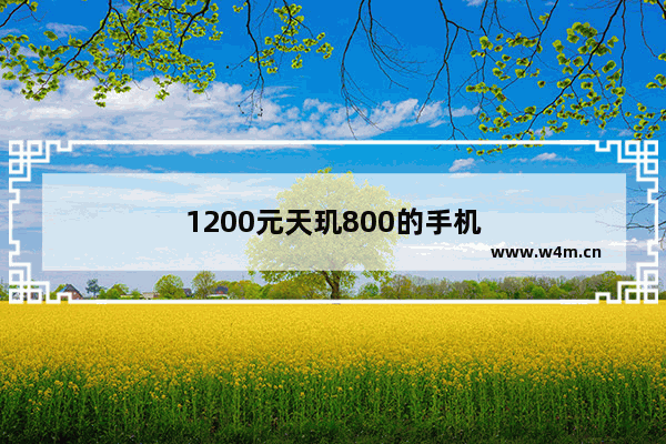 1200元天玑800的手机