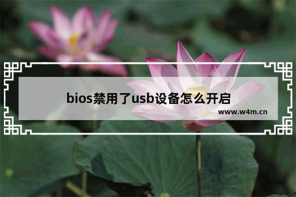 bios禁用了usb设备怎么开启