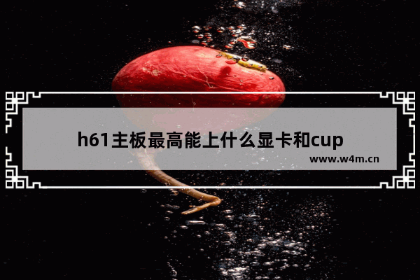 h61主板最高能上什么显卡和cup