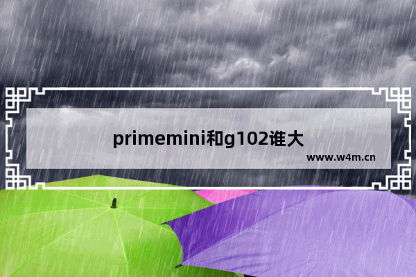 primemini和g102谁大