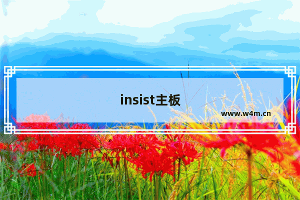 insist主板