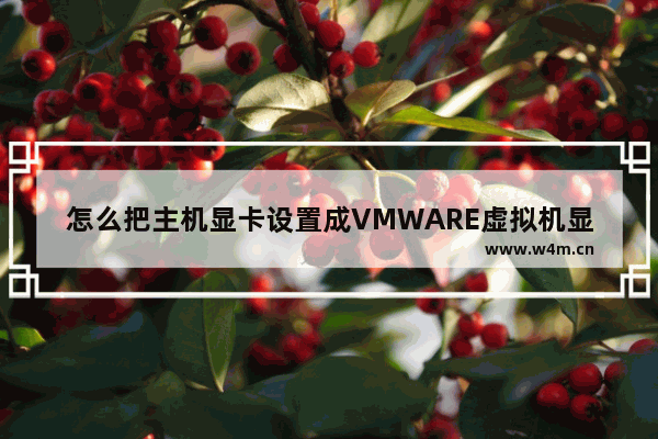 怎么把主机显卡设置成VMWARE虚拟机显卡